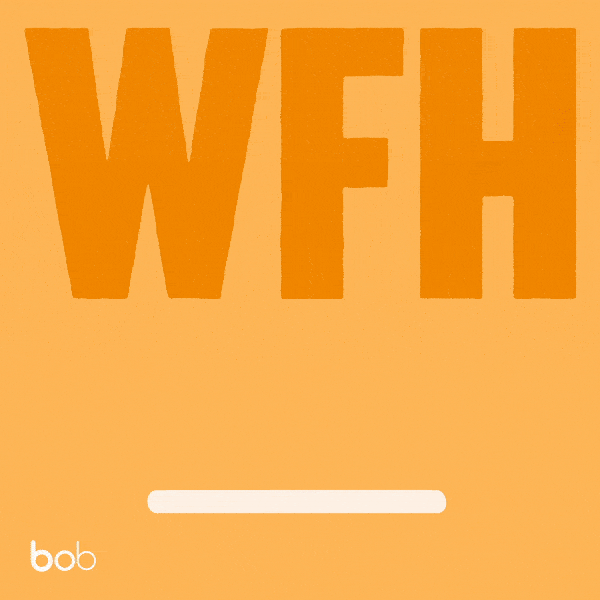 Work From Home Cat GIF by HiBob - Find & Share on GIPHY