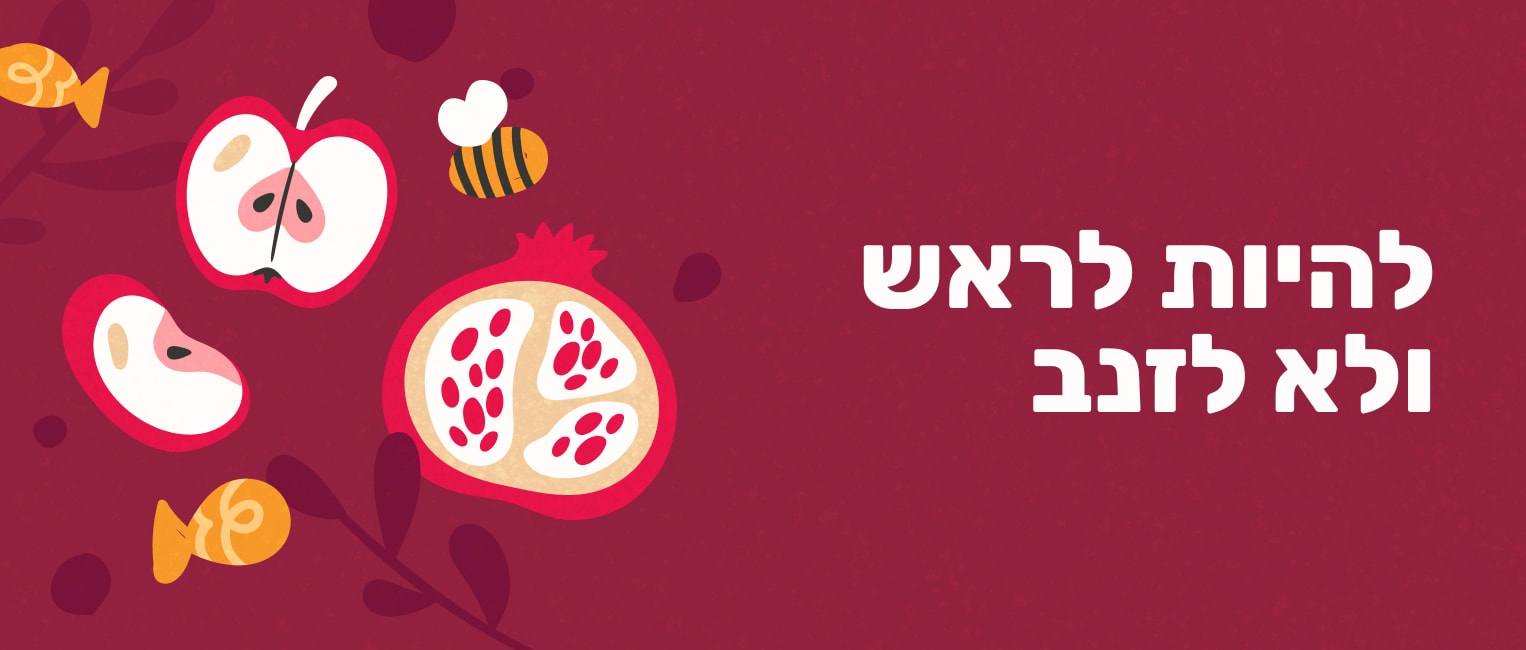 היי בוב