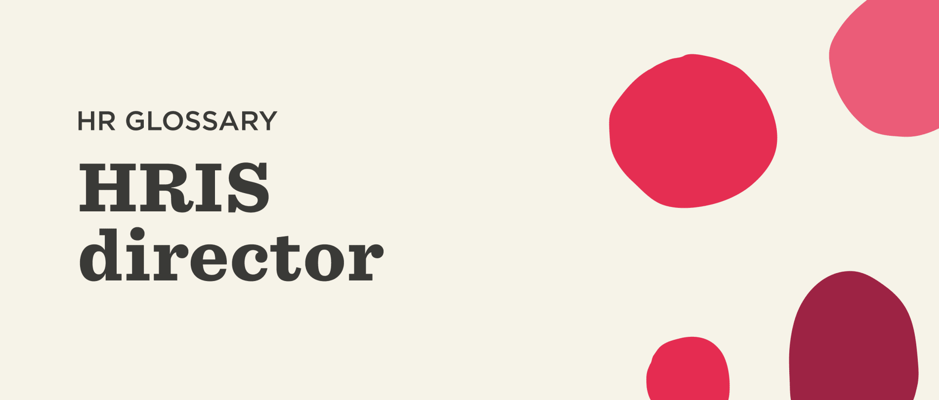 What is an HRIS Director?